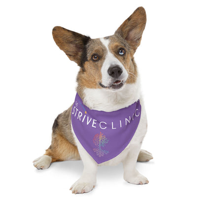 Purple Pet Bandana Collar - Strive Clinic