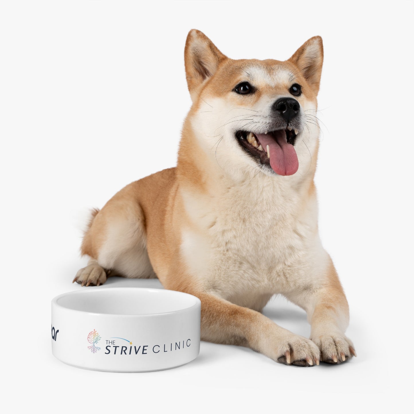 Personalized Pet Bowl - Strive Clinic