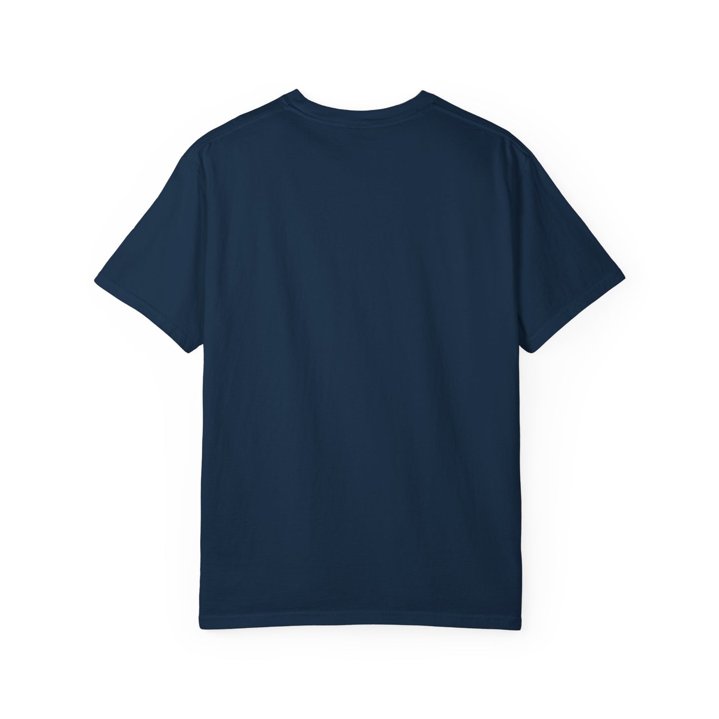 Flying High Again Garment Dyed Tee