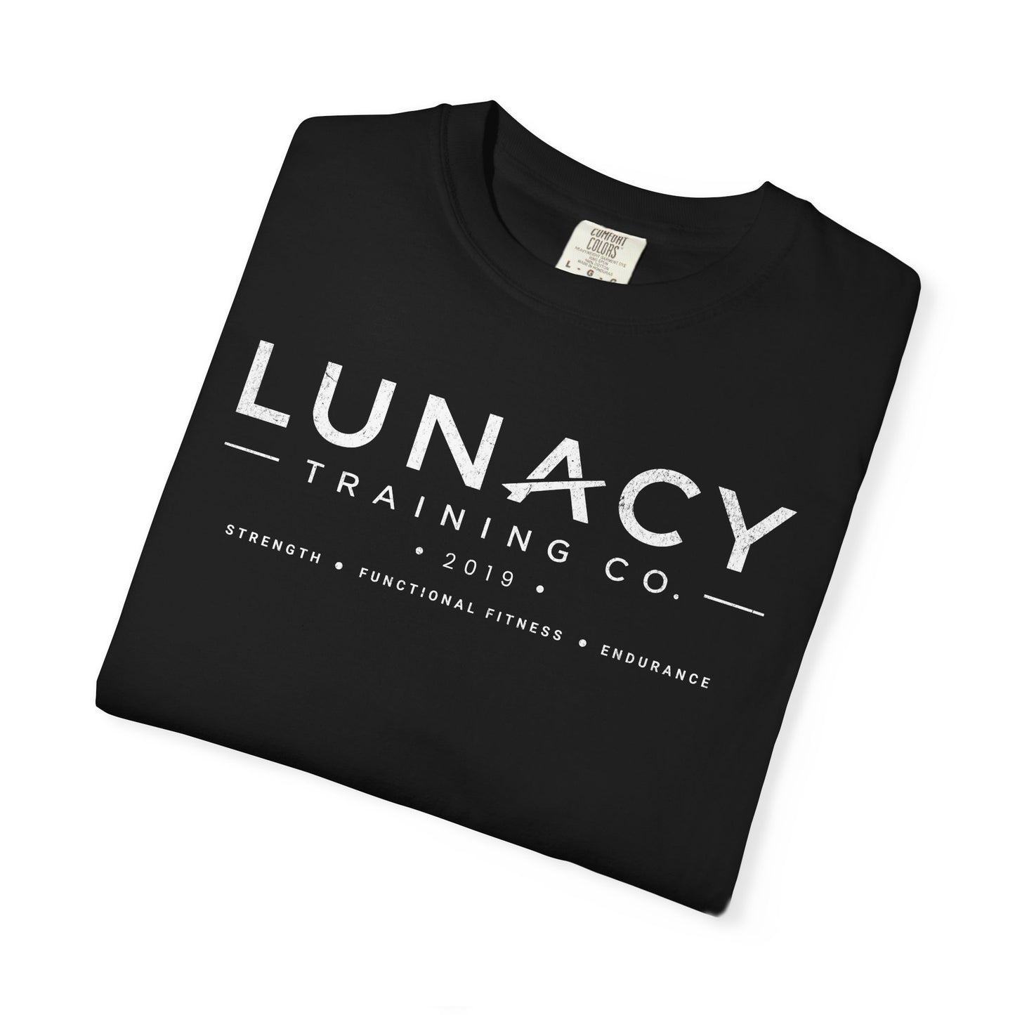 Lunacy Training Co. Logo T-Shirt — Vintage Fitness Tee