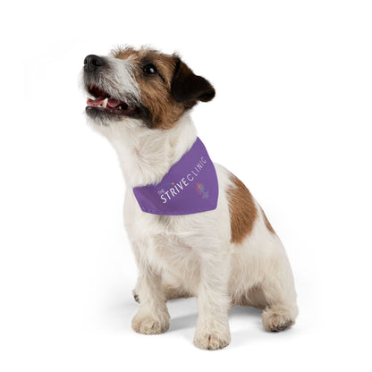 Purple Pet Bandana Collar - Strive Clinic