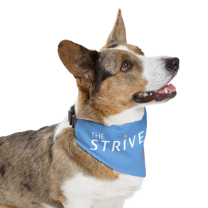 Blue Pet Bandana Collar - Strive Clinic