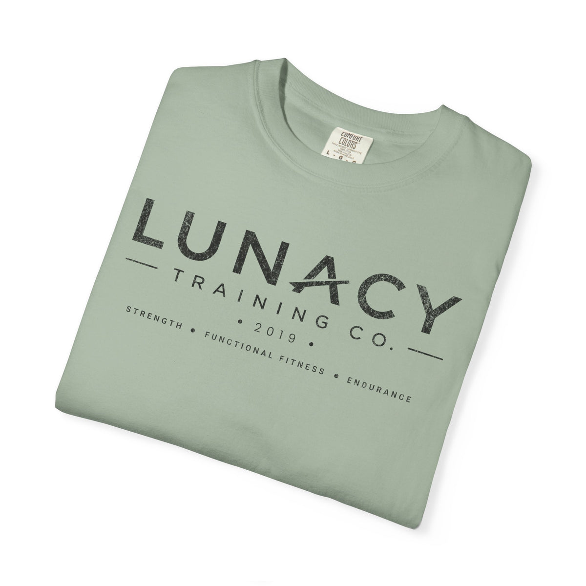 Lunacy Training Co. Logo T-Shirt — Vintage Fitness Tee