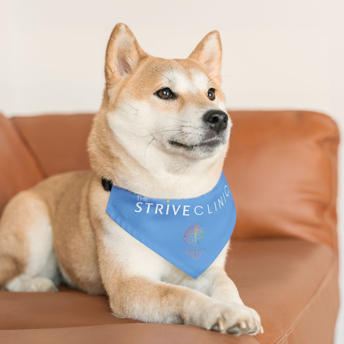 Blue Pet Bandana Collar - Strive Clinic