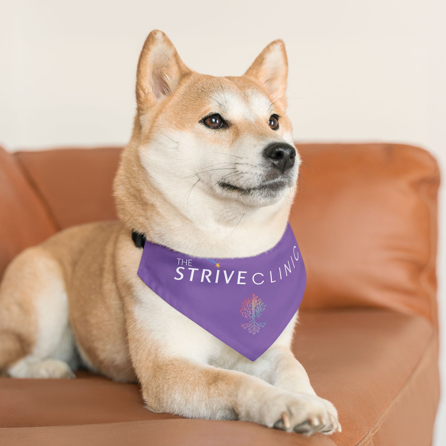 Purple Pet Bandana Collar - Strive Clinic