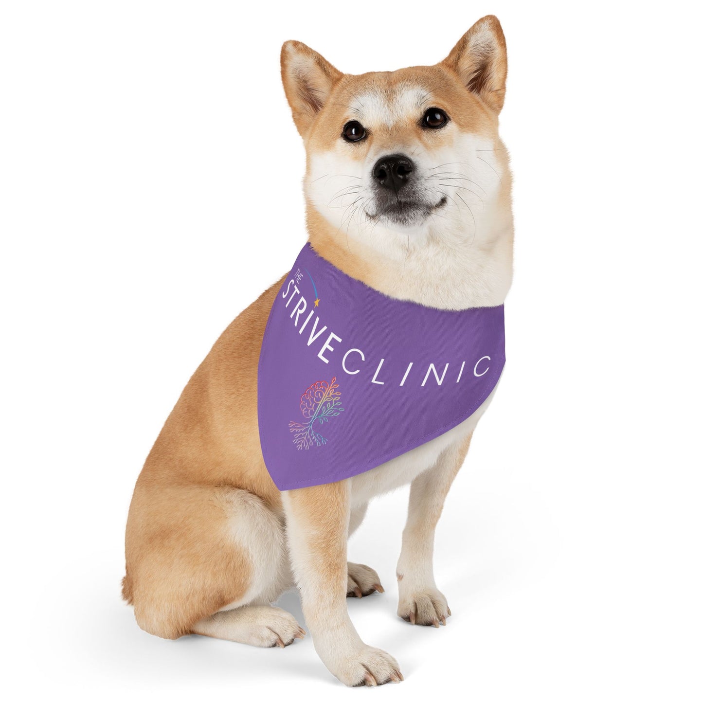 Purple Pet Bandana Collar - Strive Clinic