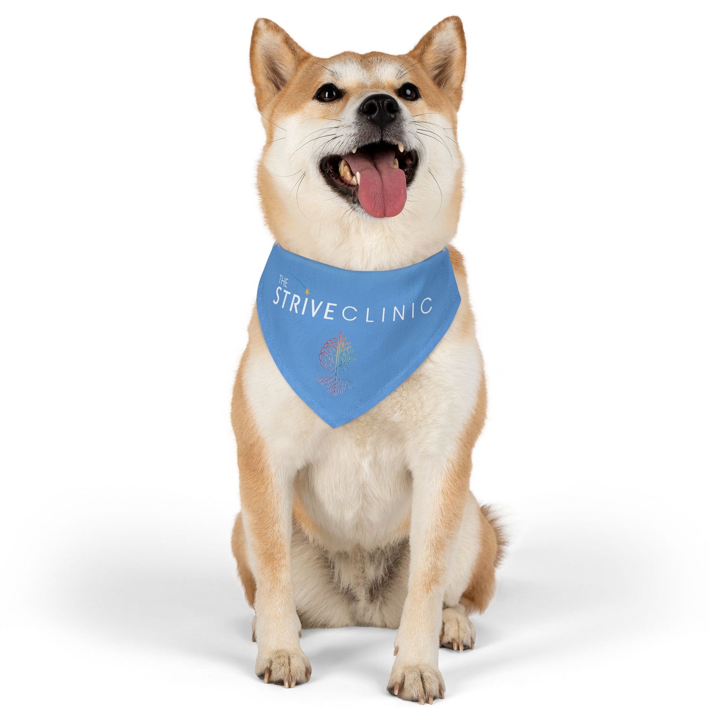 Blue Pet Bandana Collar - Strive Clinic