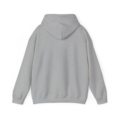 Allegedly Hoodie True Crime Gildan Sweatshirt