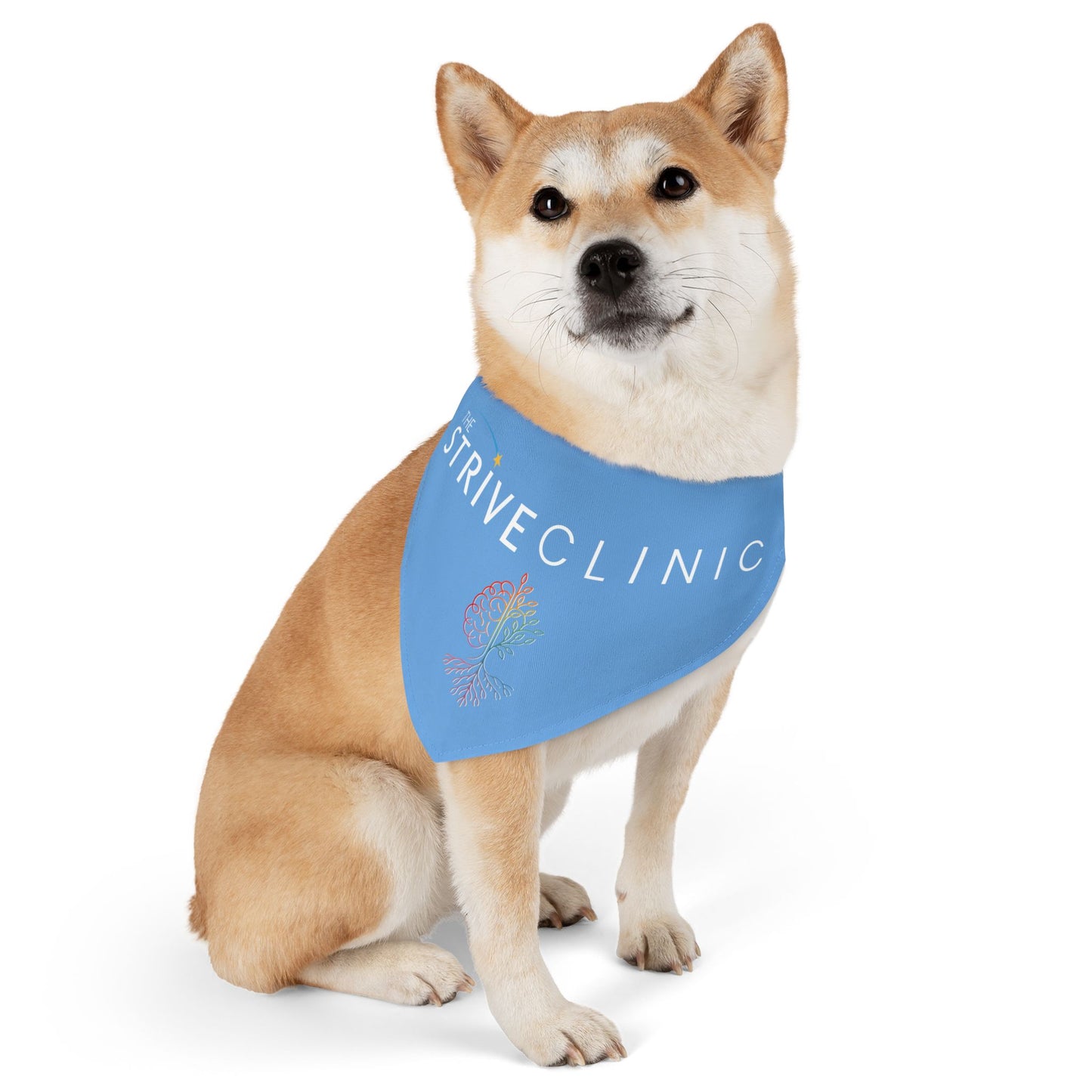Blue Pet Bandana Collar - Strive Clinic