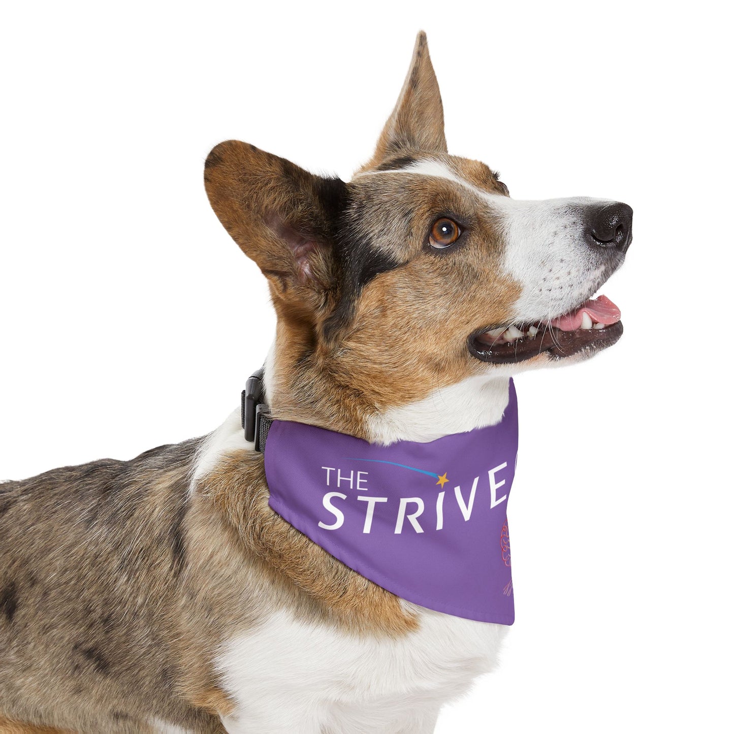 Purple Pet Bandana Collar - Strive Clinic