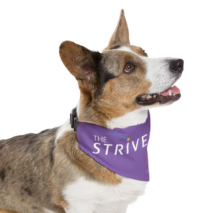 Purple Pet Bandana Collar - Strive Clinic