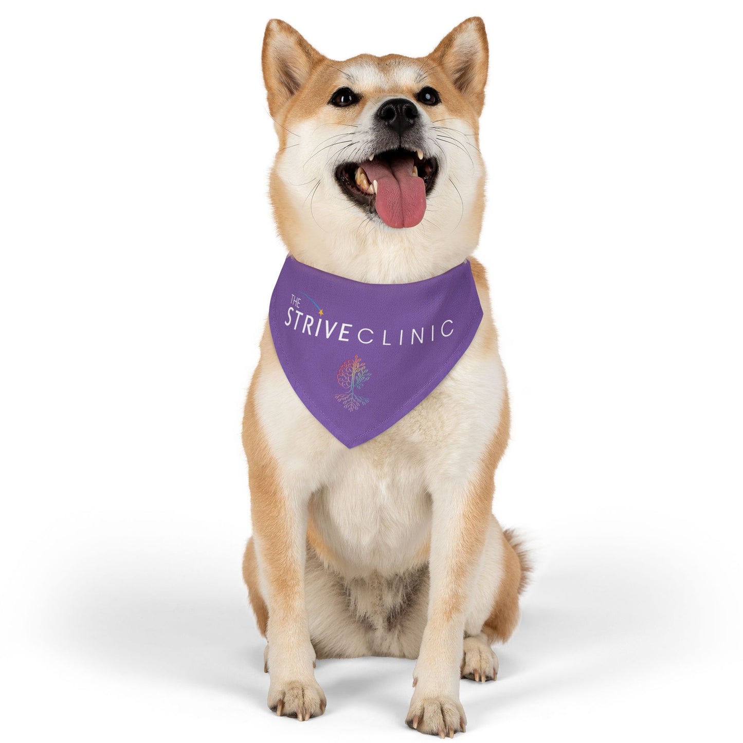 Purple Pet Bandana Collar - Strive Clinic