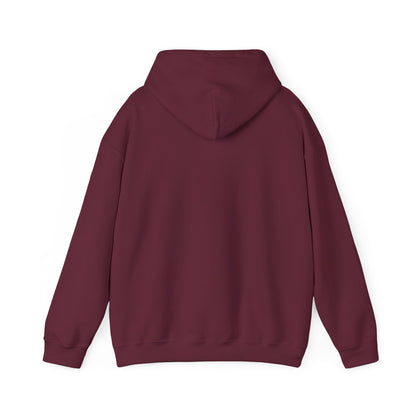 Allegedly Hoodie True Crime Gildan Sweatshirt