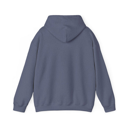 Allegedly Hoodie True Crime Gildan Sweatshirt