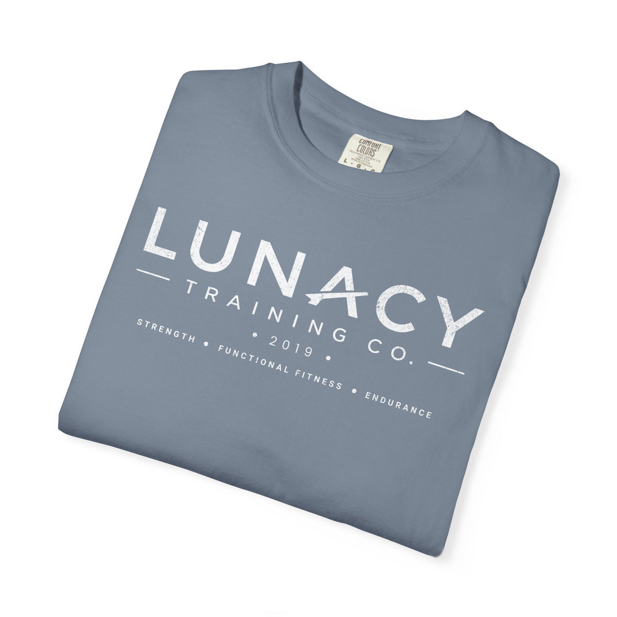 Lunacy Training Co. Logo T-Shirt — Vintage Fitness Tee