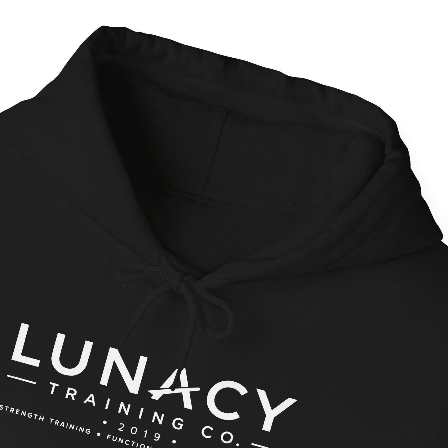 Lunacy Training Co. Logo Hoodie — Front Print