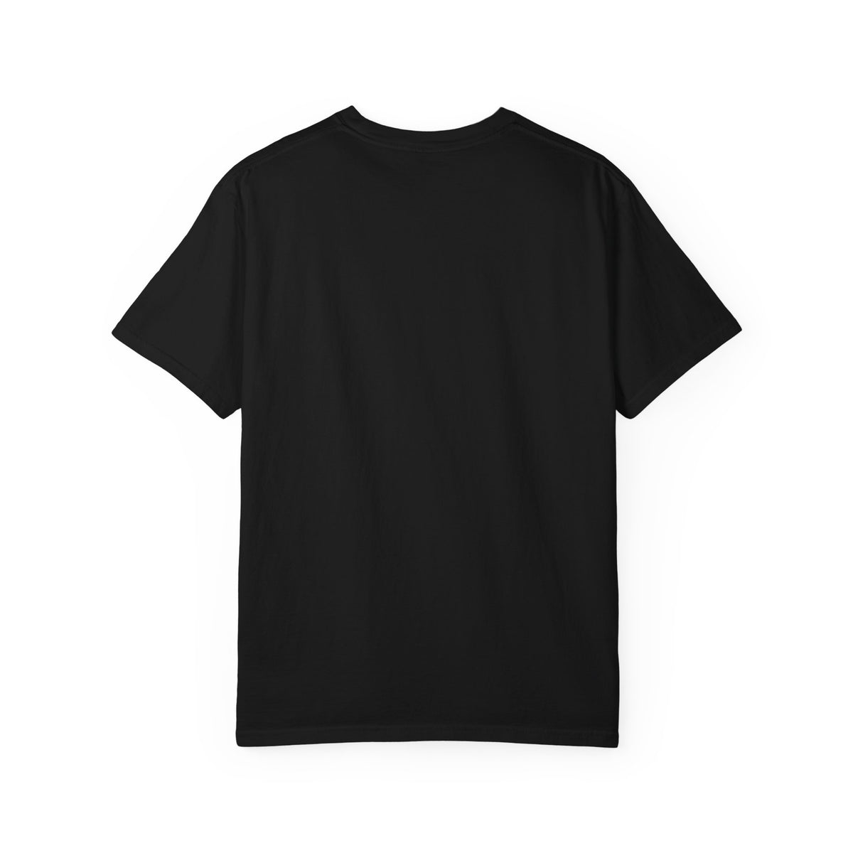 Lunacy Training Co. Logo T-Shirt — Vintage Fitness Tee