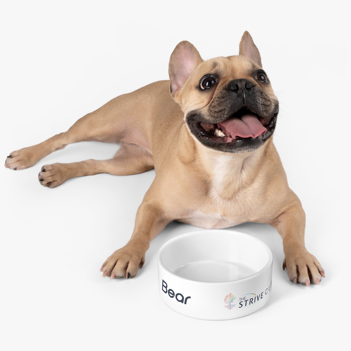 Personalized Pet Bowl - Strive Clinic